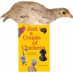 Red Cornish Chick on Book