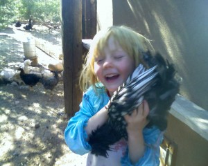 Juno and a Polish Chicken in Just a couple of chickens