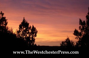 The Westchester Press and How To Self Publish A Book