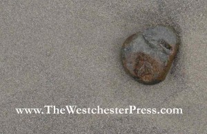 A single rock in the sand isn't such a big deal. But if the rock is a post that missed schedule, and the beach is my blog... it's not very zen.