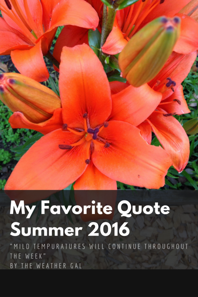 My Favorite QuoteSummer 2016